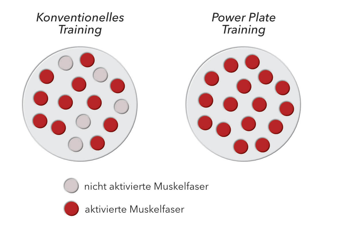 Power Plate Muskelaktivierung